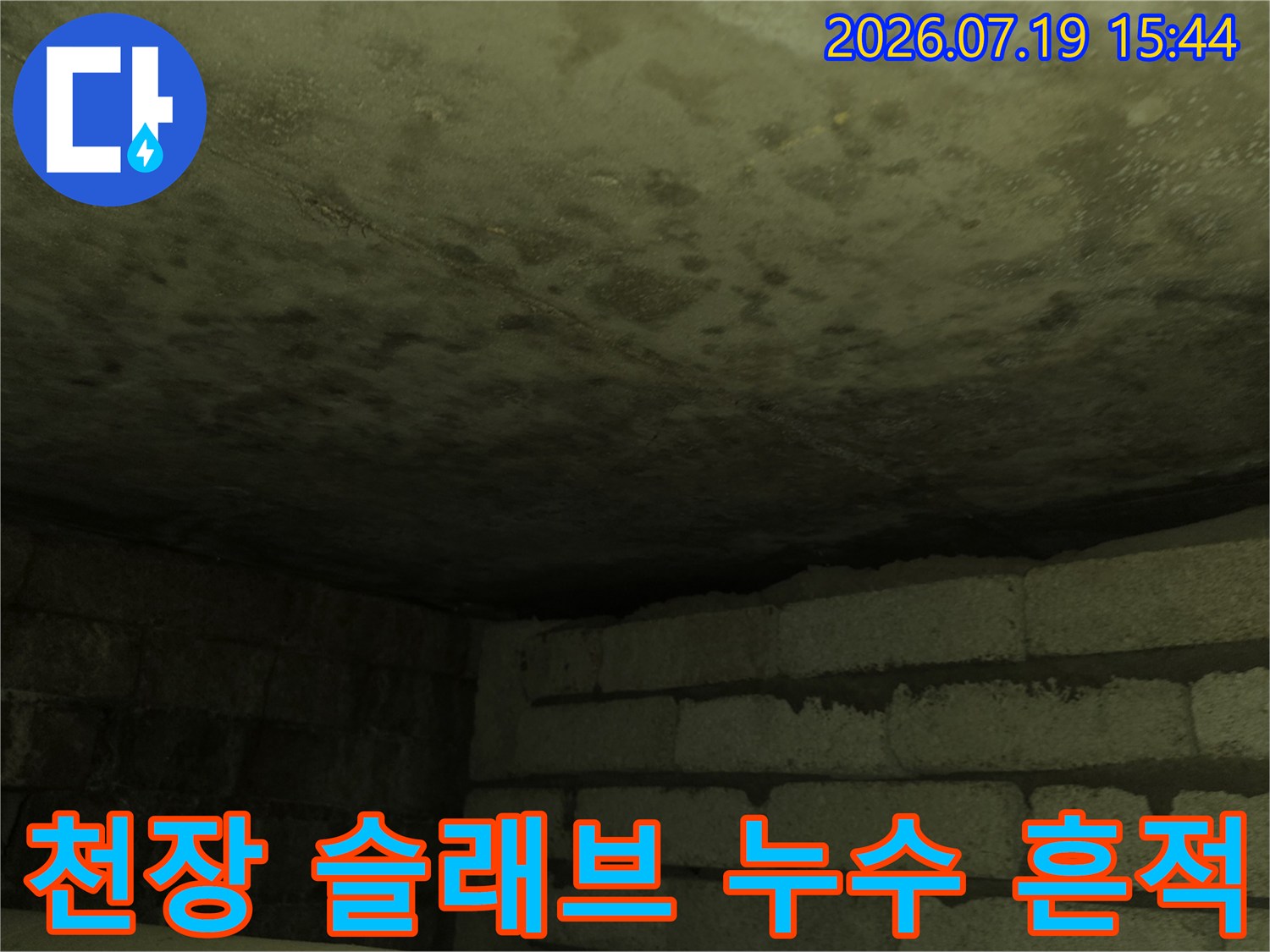 화장실-아랫집-천장의-콘크리트-슬래브-표면에-물-얼룩과-곰팡이가-퍼져있는-모습