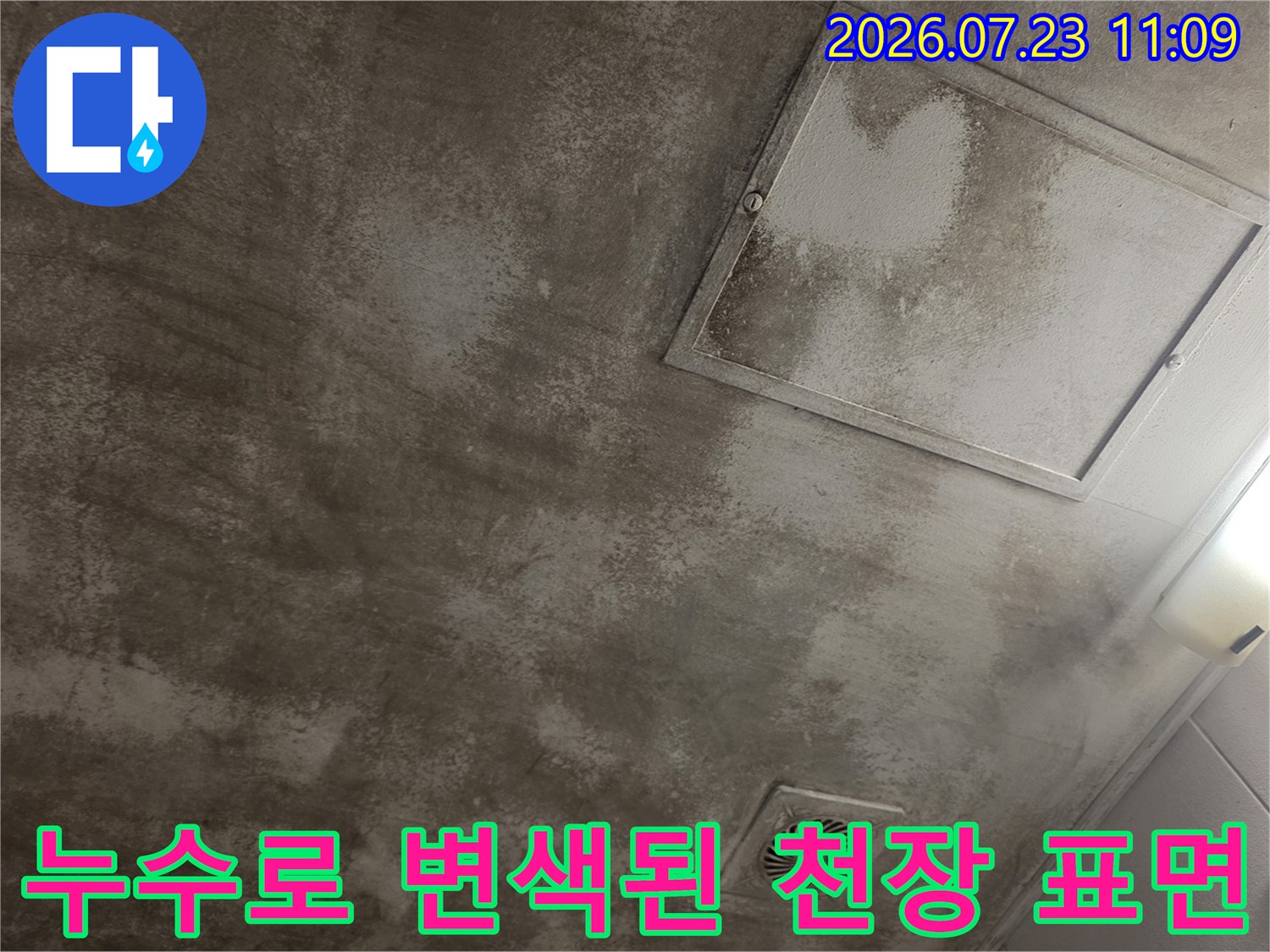회색 콘크리트 천장에-물샘으로 인한 짙은 회색 얼룩이 퍼져 있는 모습