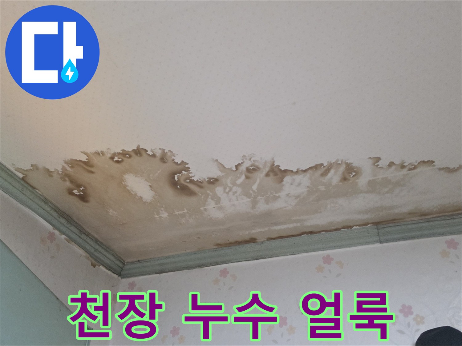 성북구 정릉동 빌라-천장 벽면의 광범위한 물얼룩과 곰양 현상