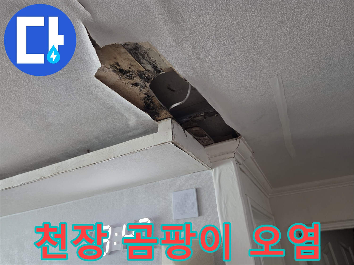 천장재 파손 부위의 검은 곰팡이와 습기 흔적