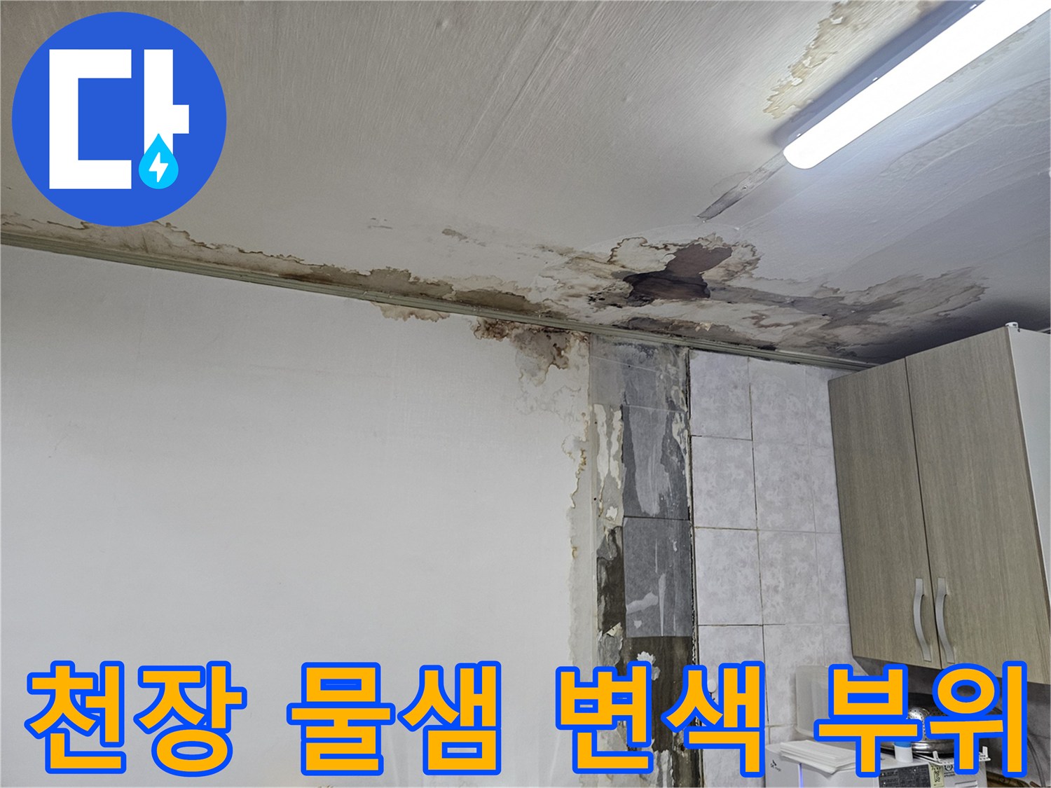 상도동 빌라-천장 부분에 발생한 심각한 물샘과 변색 현상