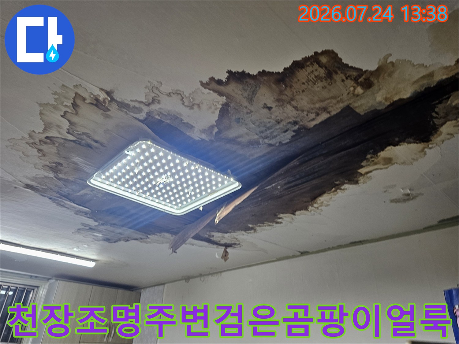 습기로 인해 검게 부식된 천장 마감재와 매립형 조명이 설치된 모습