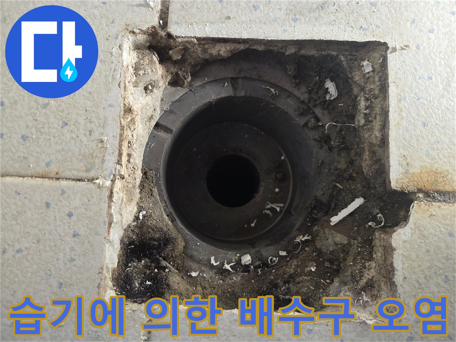 배수관 입구 주변-물샘으로 인해 변색된 타일과 유가 상태