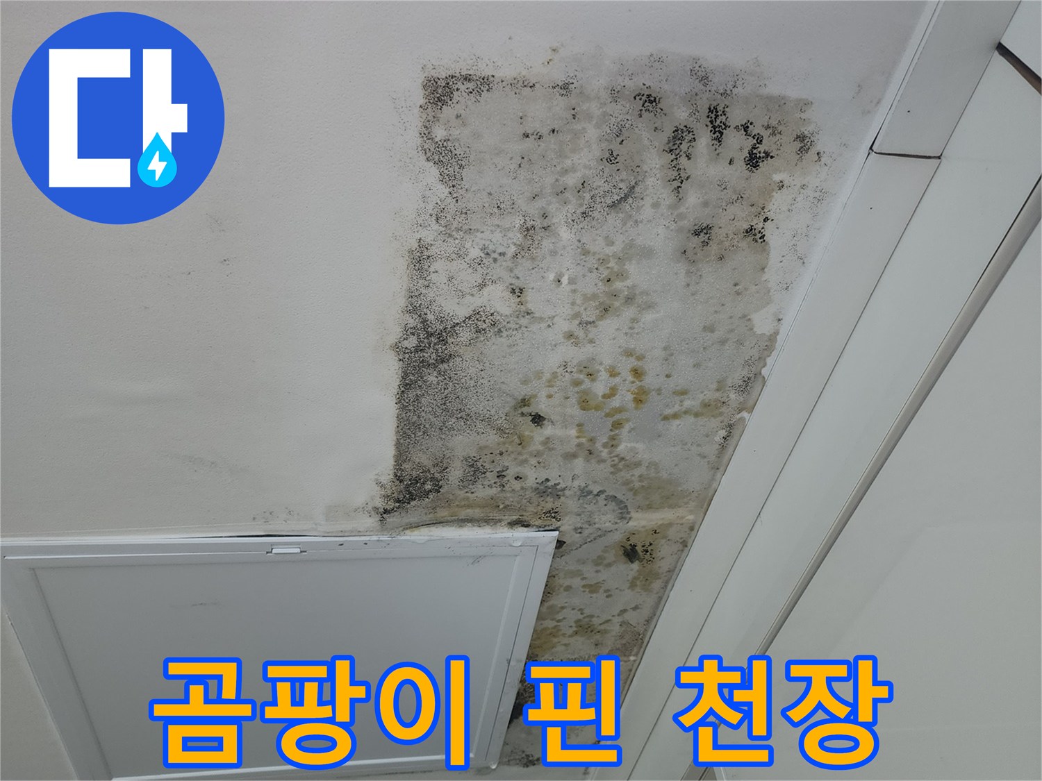 습기로 오염된-천장 마감재와 곰팡이 발생 상태