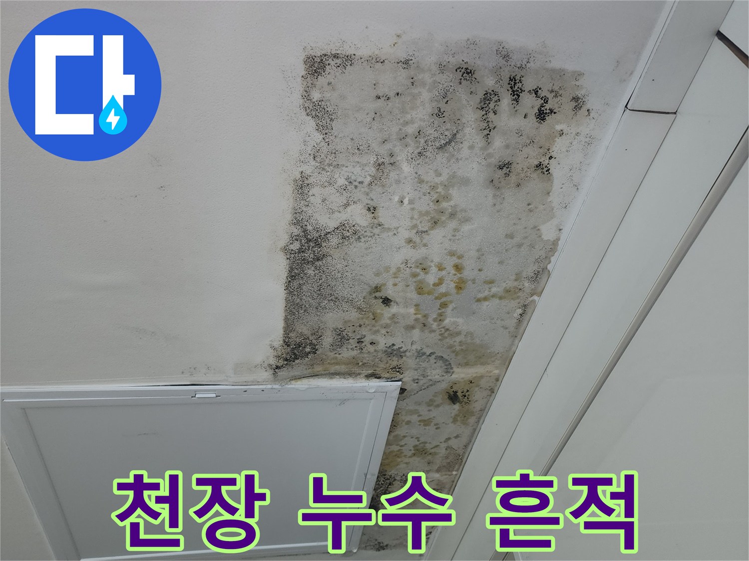 천장-벽면의-심한-누수-얼룩과-곰팡이-번짐-현상