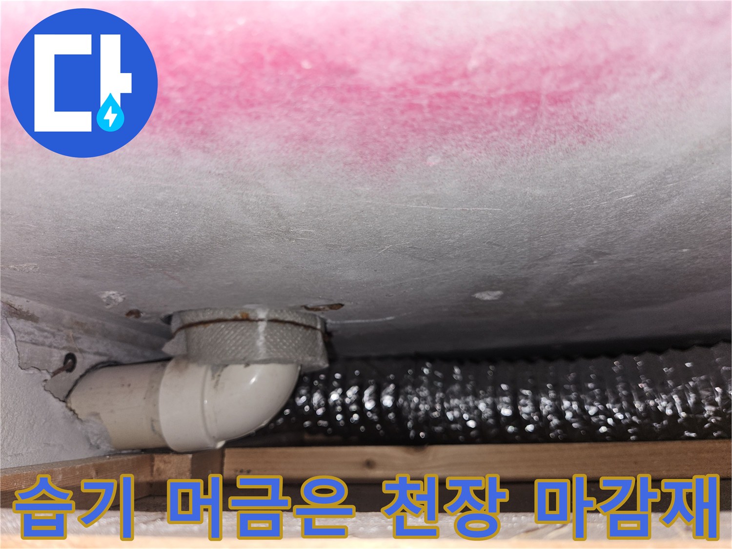 곰팡이가 발생한 천장 슬래브와 노출된 하수관 부속