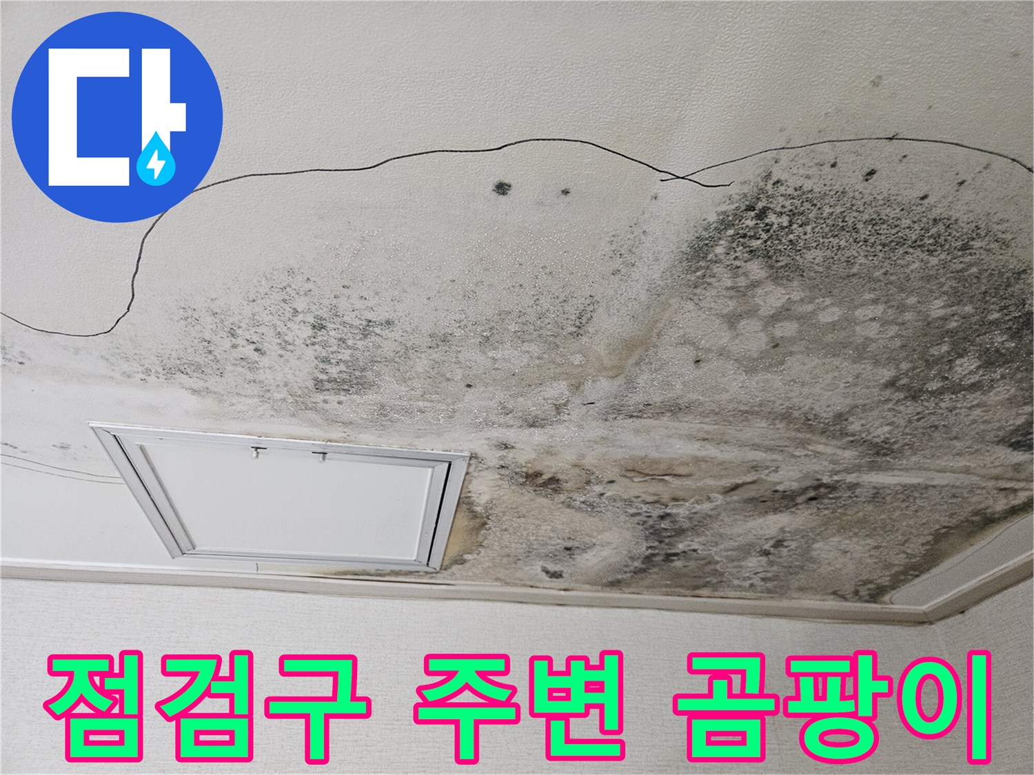 천장 점검구 근처에 발생한 광범위한 누수 얼룩과 곰팡이