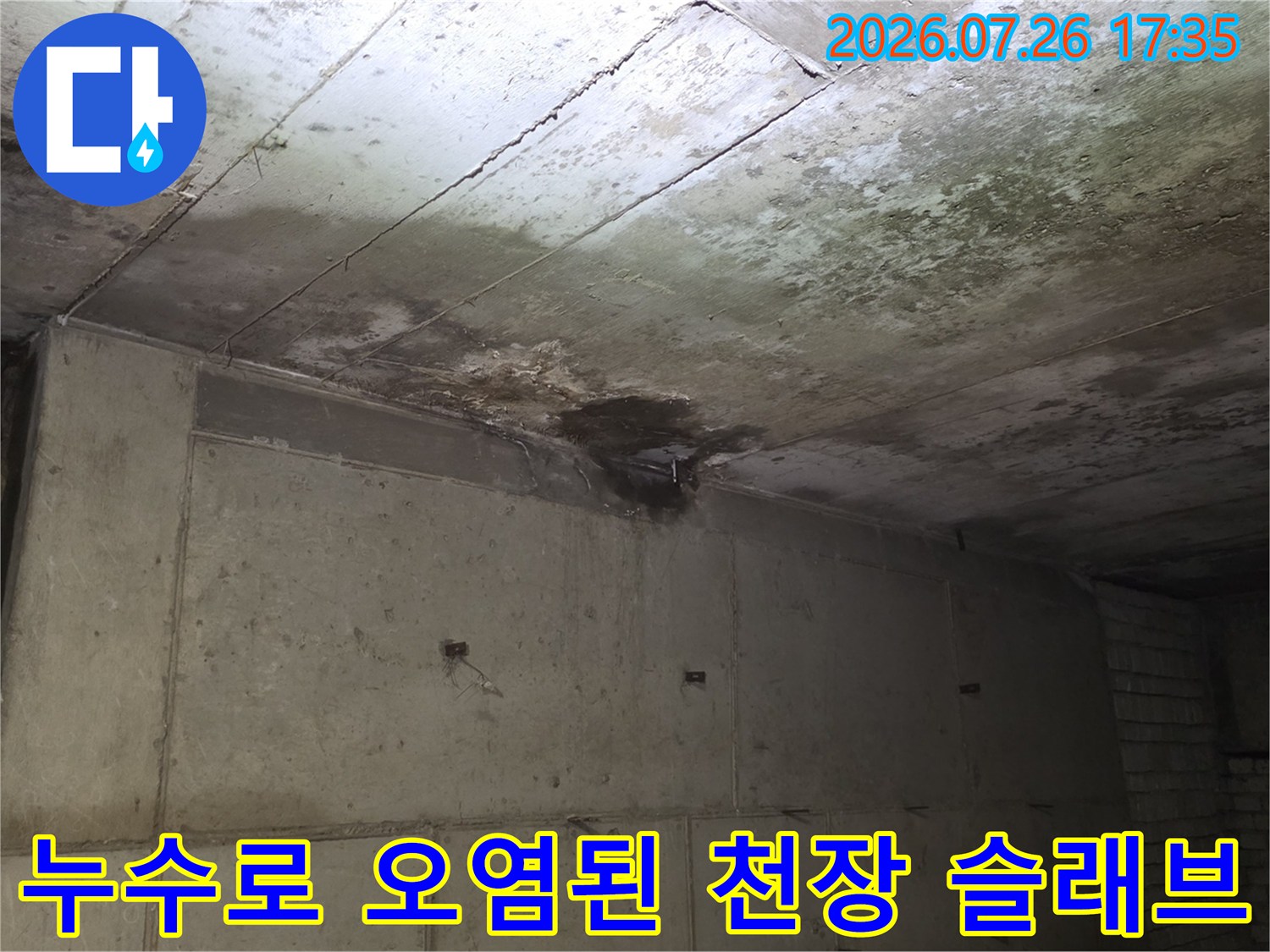 물샘 현상으로 인해 변색되고 곰팡이가 발생한 상가 내부의 천장 모습