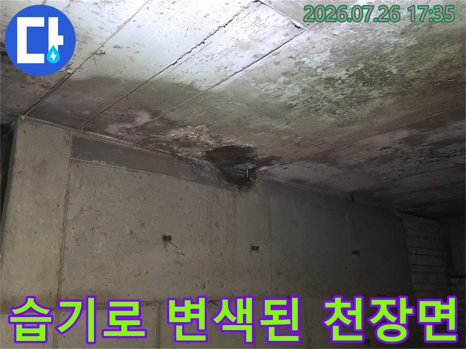 물이 고였다 마르기를 반복하며 얼룩지고 곰팡이가 생긴 천장 슬래브