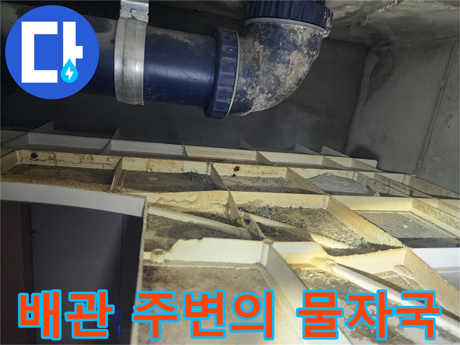 오염된 천장 마감재와 파란색 배수관 - 누수 지점 확인 작업