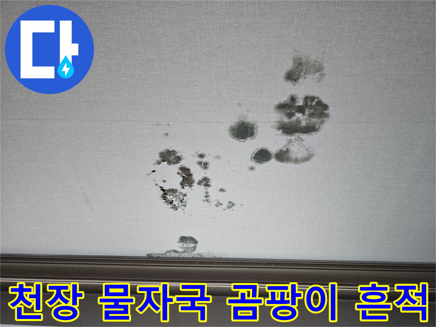 2층 거실 천장-벽면을 따라 번진 누수 오염 및 곰팡이 상태