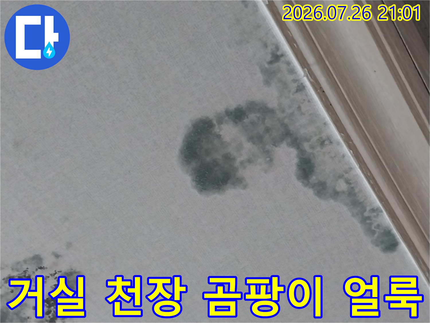 상가주택 거실 천장에 발생한 어두운 회색의 곰팡이와 누수 얼룩