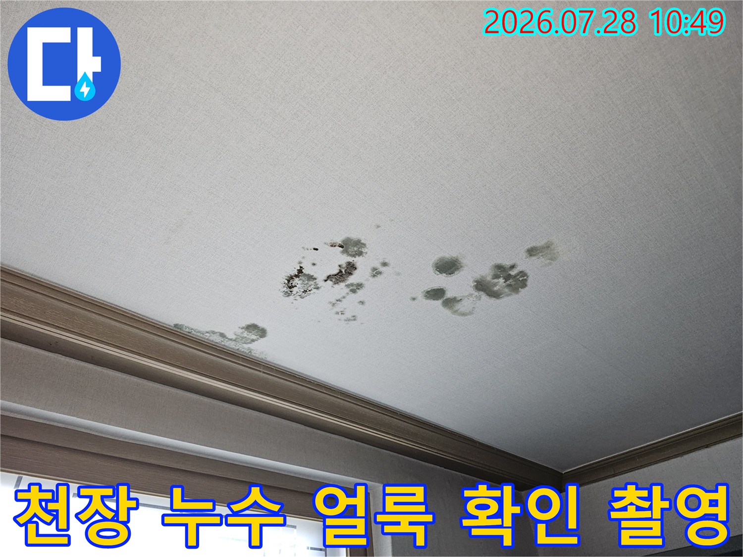 어두운 곰팡이와 물자국으로 오염된 거실 천장면