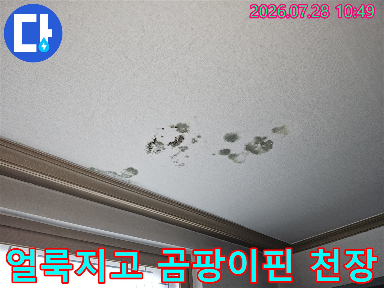 어두운색 얼룩과 곰팡이가 번진 거실 안쪽 천장