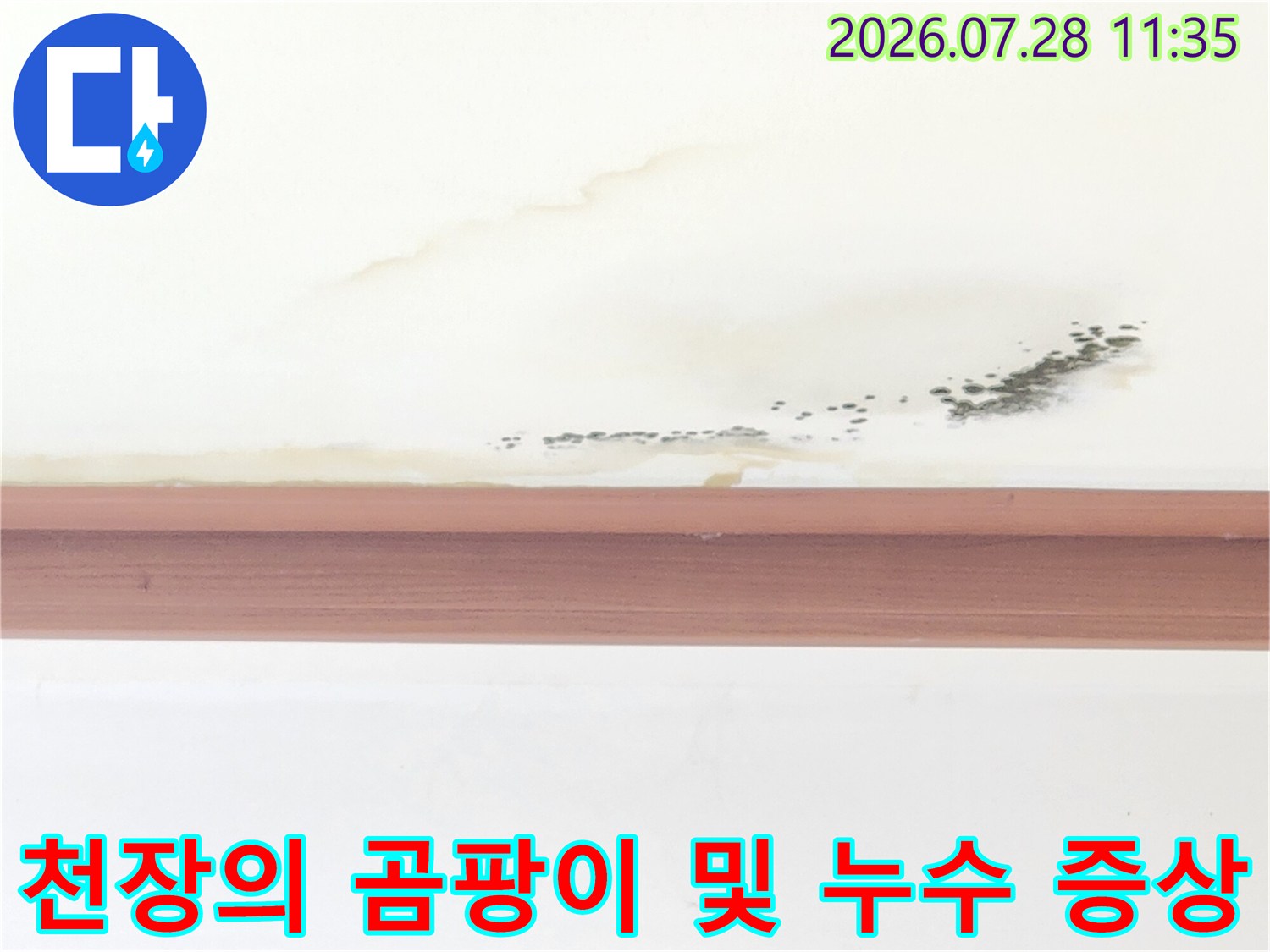 거실 천장에 형성된 물자국과 검은색 곰팡이가 섞여 있는 모습