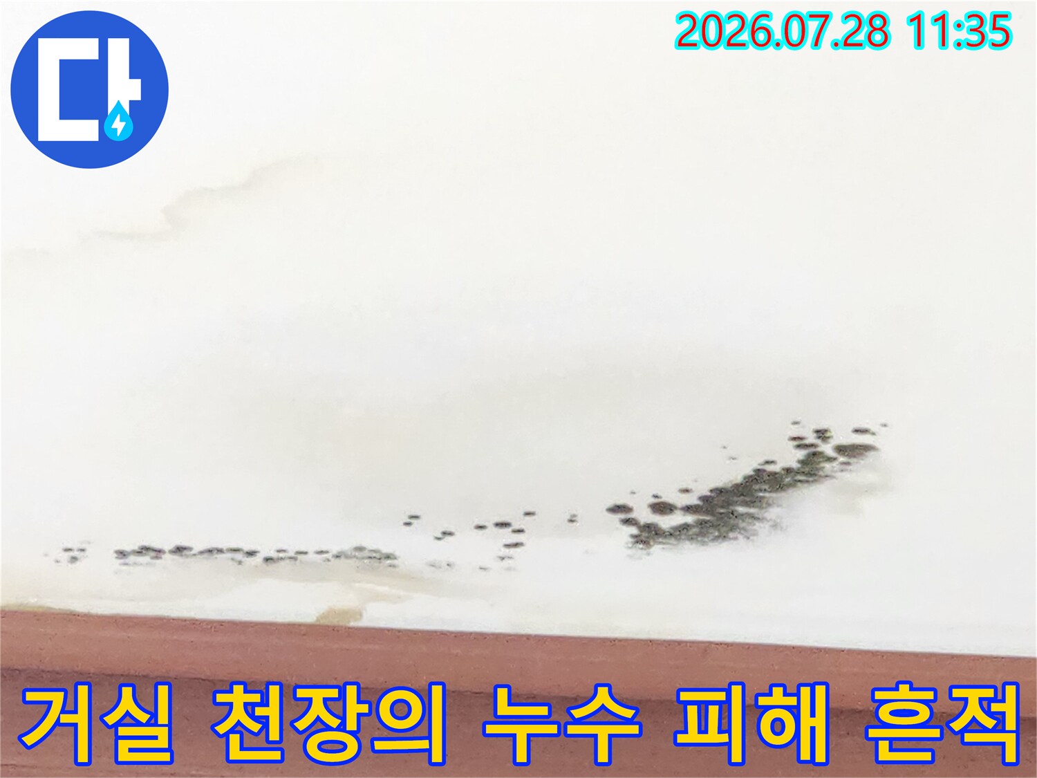 천장에 고착된 물자국과 곰팡이 오염 상태