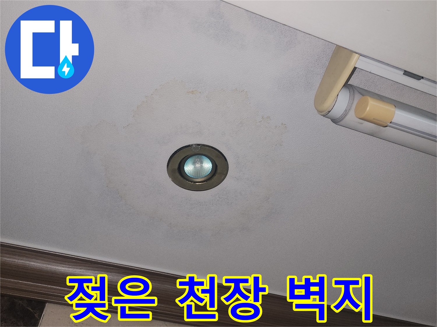 천장 조명 주변에 발생한 갈색의 물자국과 변색된 부위