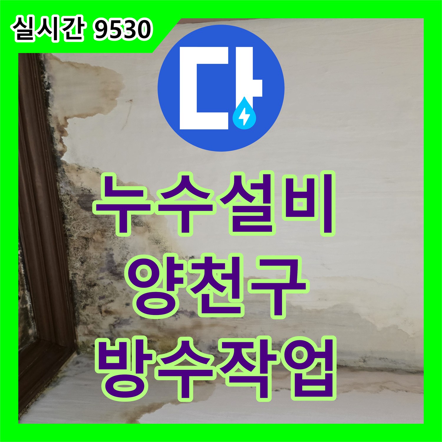 누수설비 천장 접합부 물길 차단과 곰팡이 제거 작업을 진행한 서울 양천구 신월동 현장
