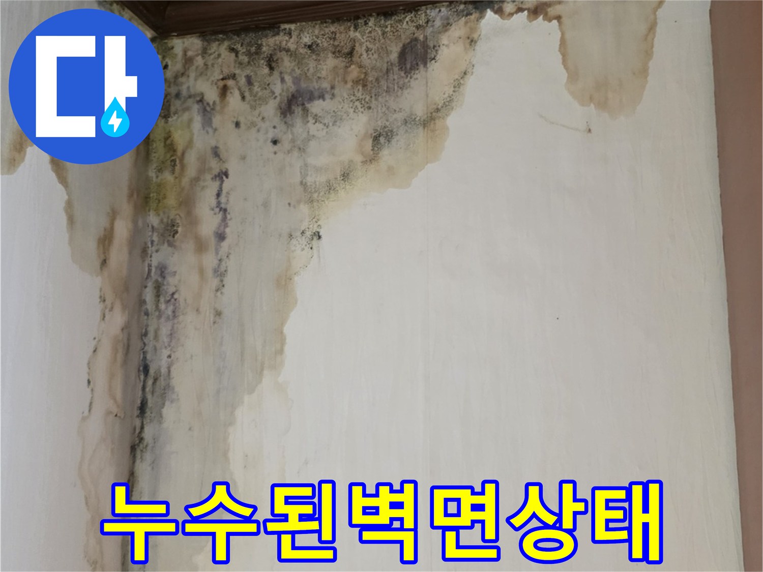천장과 벽의 접합부-누수로 인해 변색되고 곰팡이가 생긴 벽지 상태