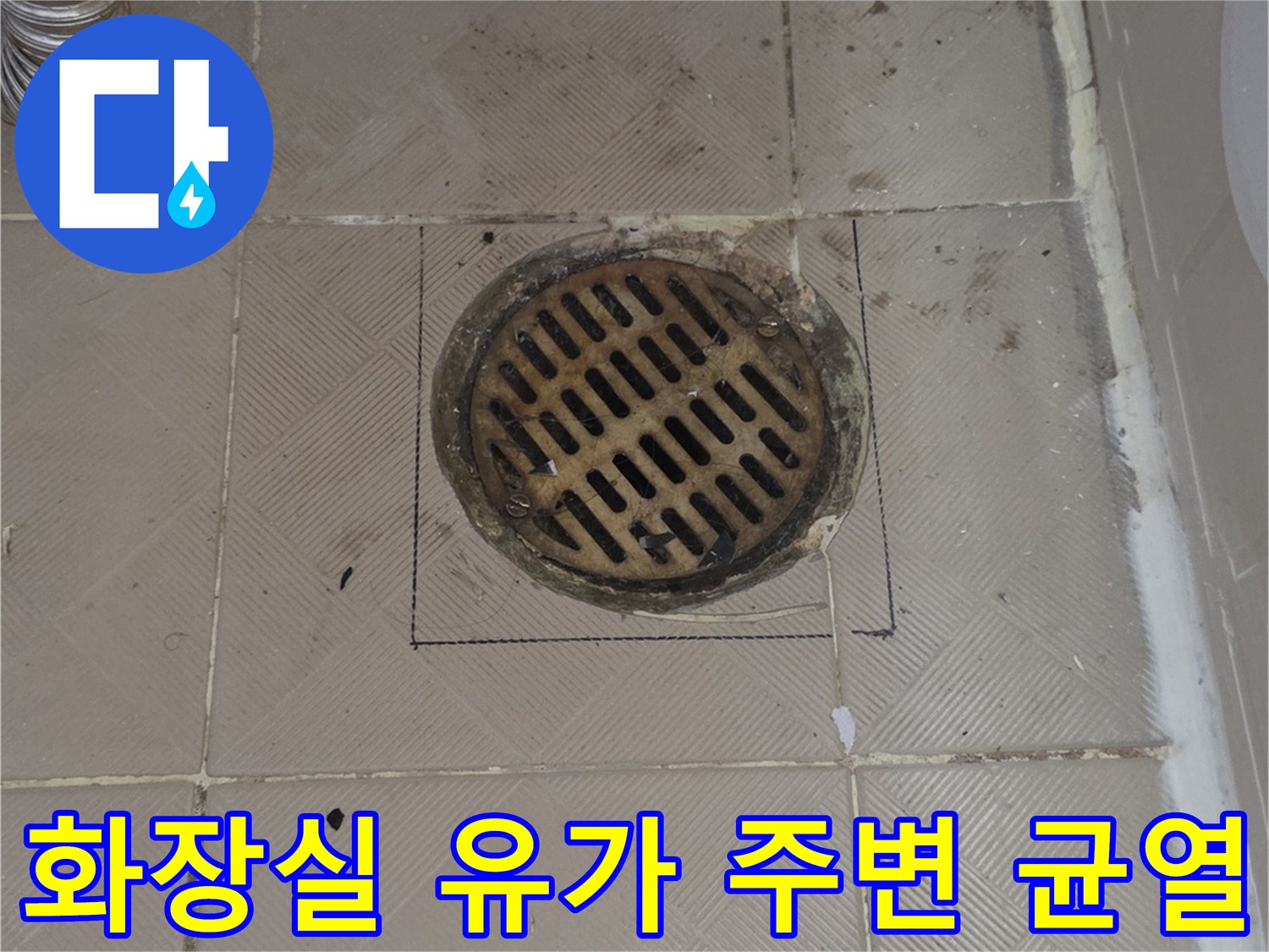 양천구 신월동 화장실 하수구 유가 주변 타일 균열과 오염 상태