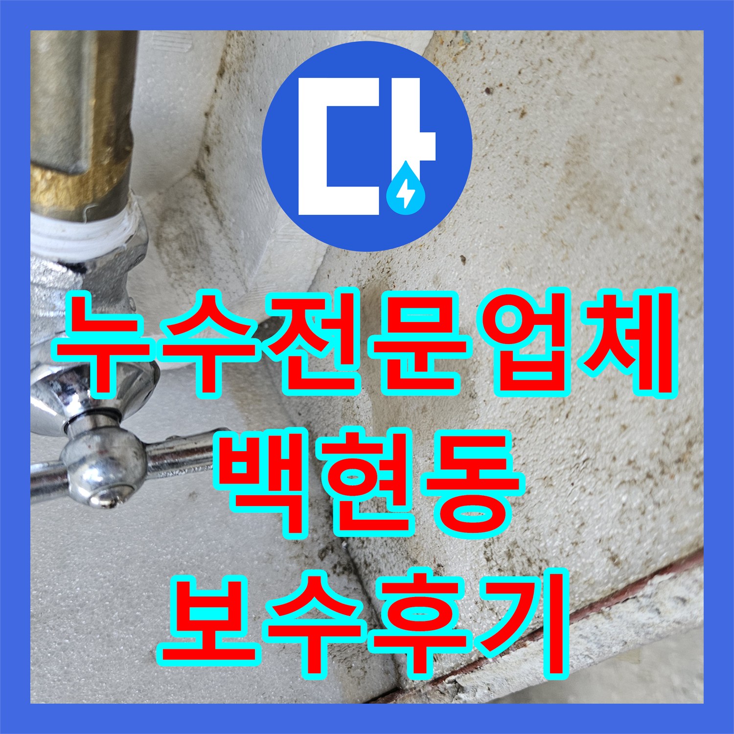 누수전문업체 성남시 분당구 백현동 현장의 정밀 배관 진단 및 보수 후기