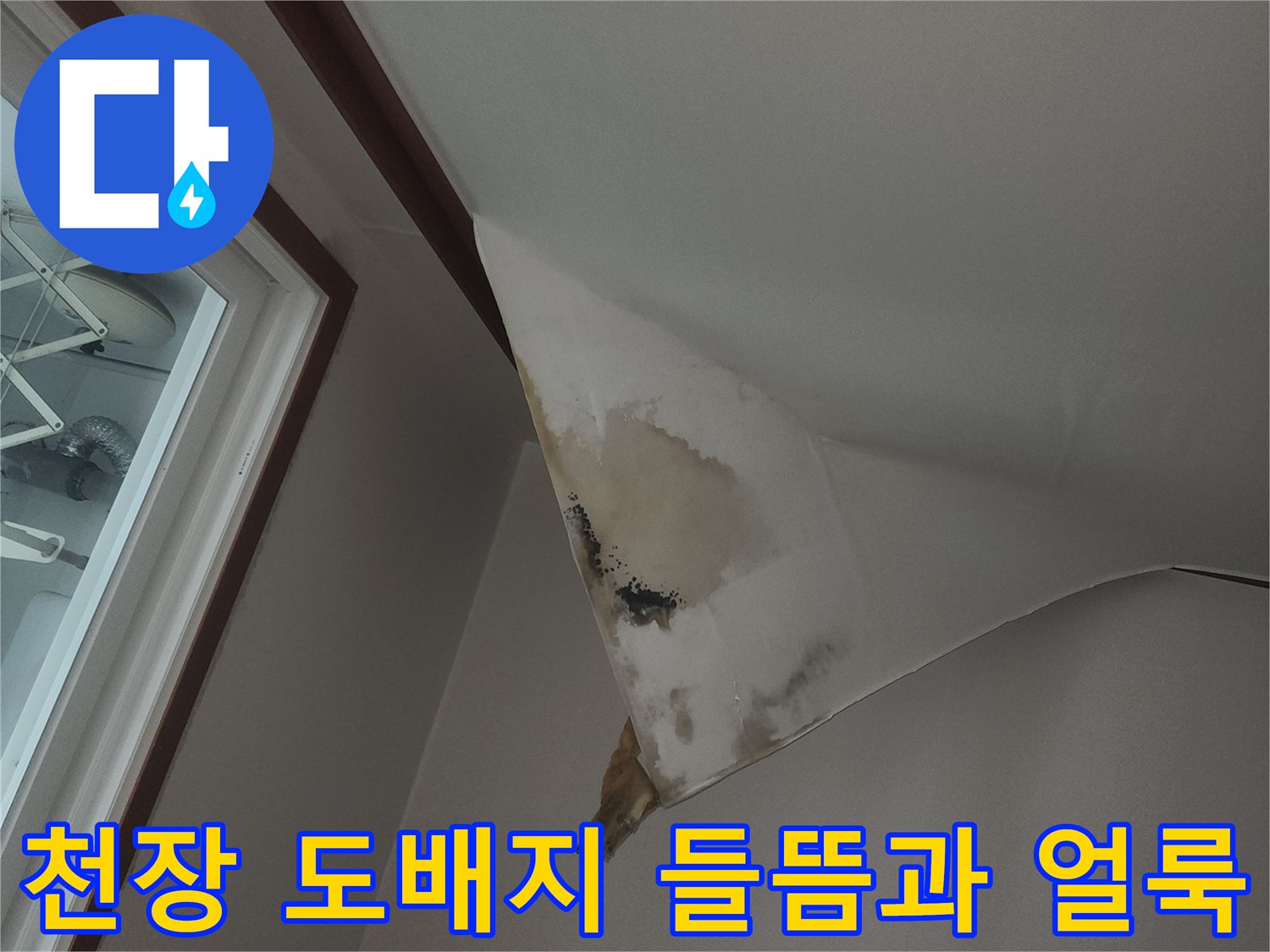 아래층 천장의 도배지가 젖어서 들뜨고 검은 얼룩이 생긴 상태입니다.