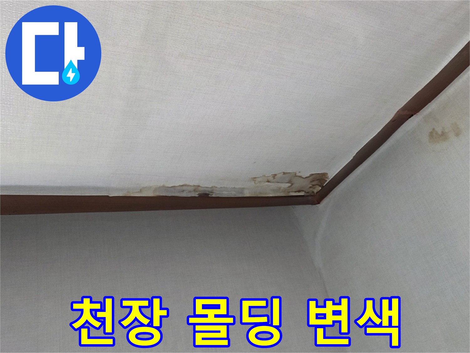 천장과 벽면 경계-누수로 인한 오염 부위 촬영