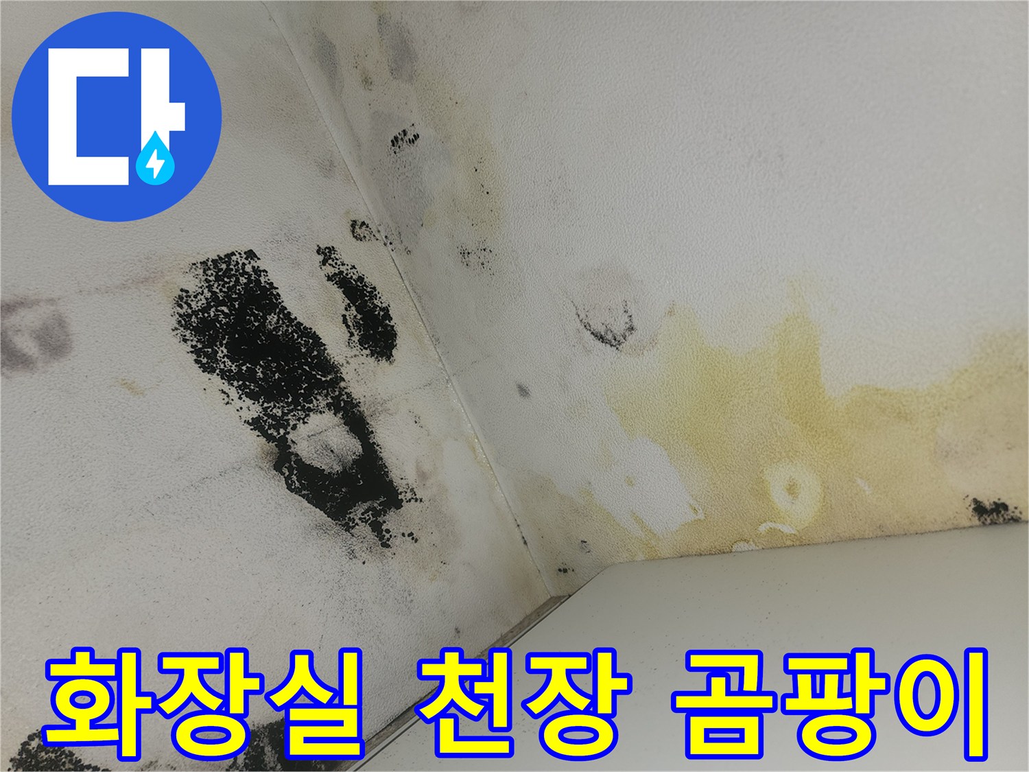 양천구 화장실 벽면의 검은 곰팡이와 노란 물자국 상태