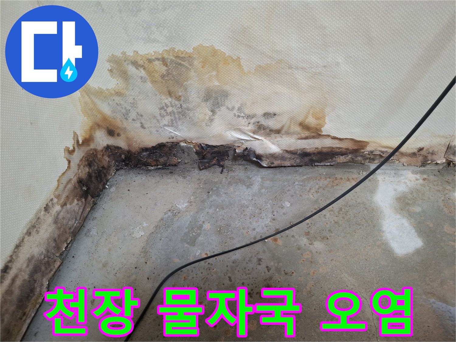 개봉동 현장의 천장 벽지 변색 및 곰팡이 발생 상태를 보여주는 사진입니다.