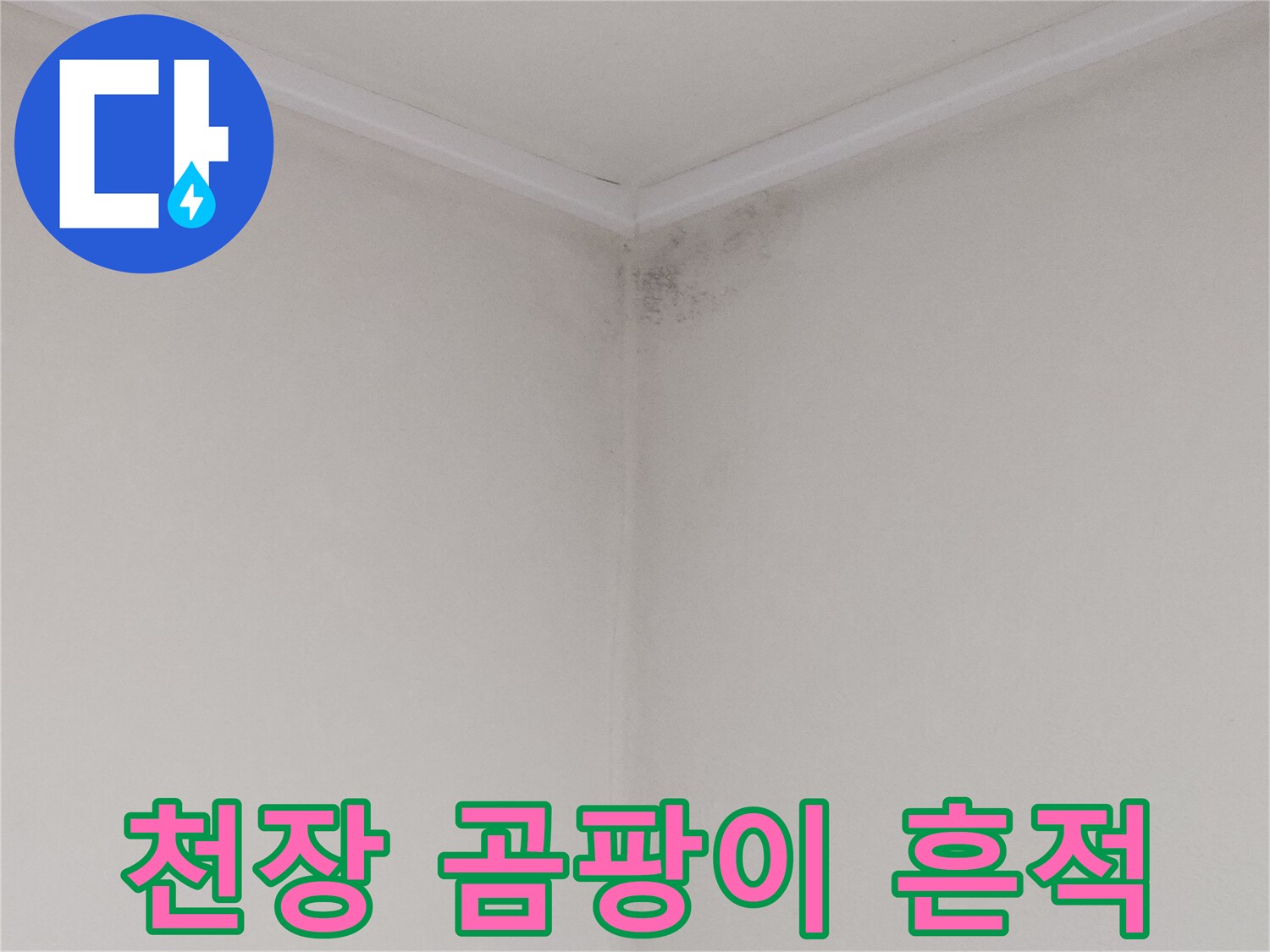 누수로 인해 검게 변색된 천장 모서리와 곰팡이 발생 부위