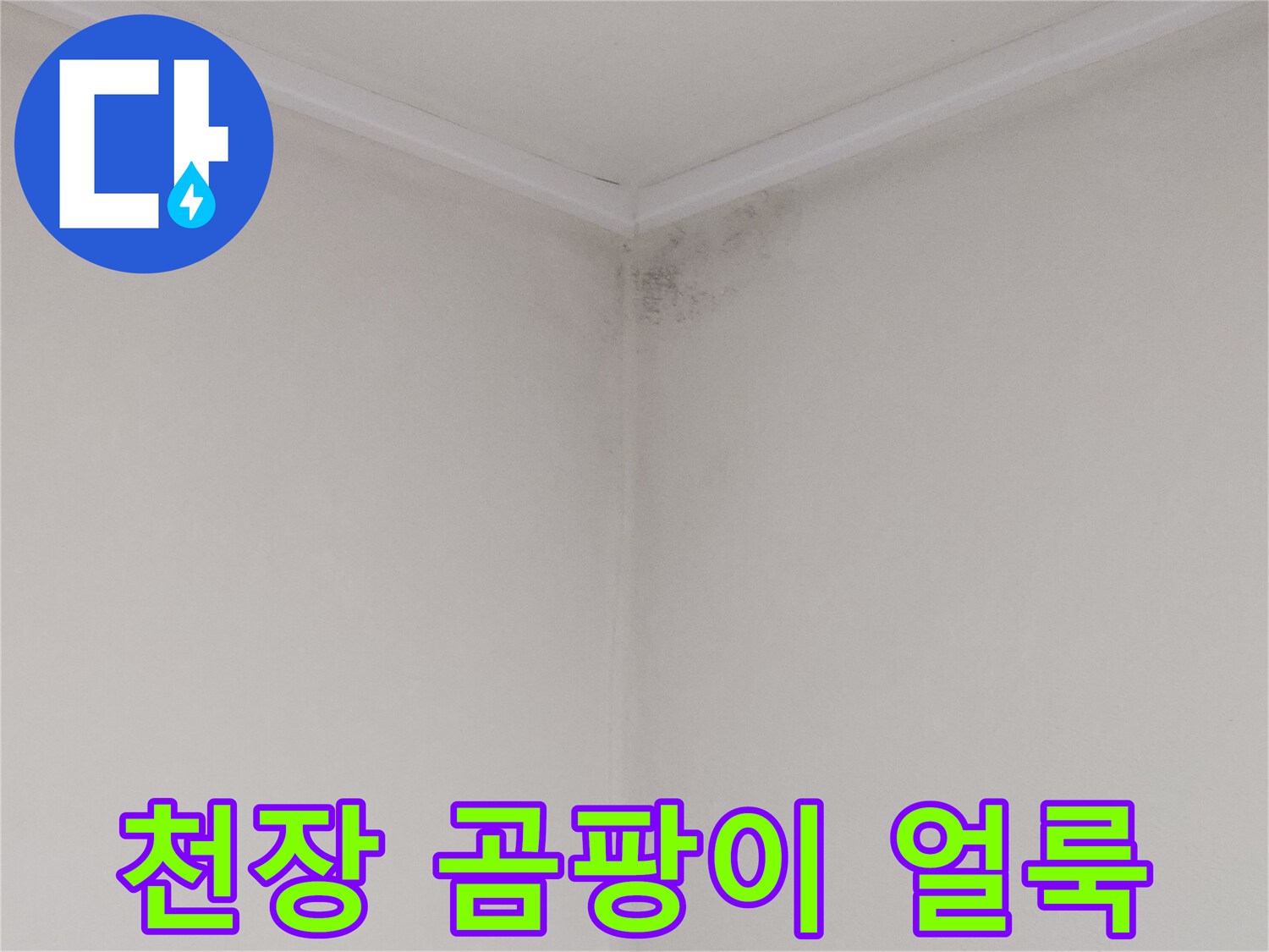 안양 비산동 아파트 화장실 천장 구석의 곰팡이와 물자국 현상