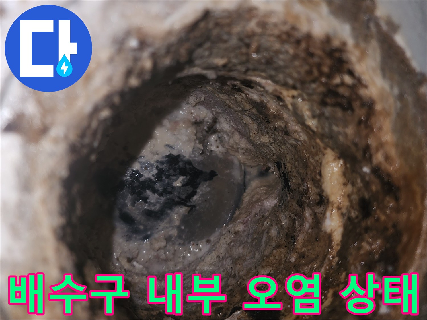 오염된 배수구 유가와 퇴적물이 쌓인 모습 - 누수 진단 중