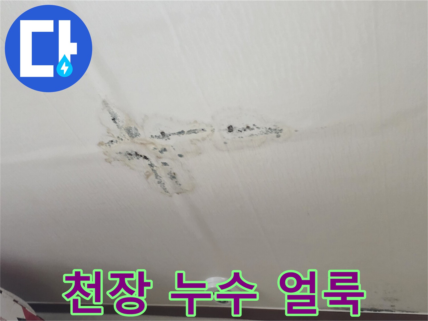 분당 구미동 아파트 천장에 발생한 어두운색의 물자국과 곰팡이 흔적