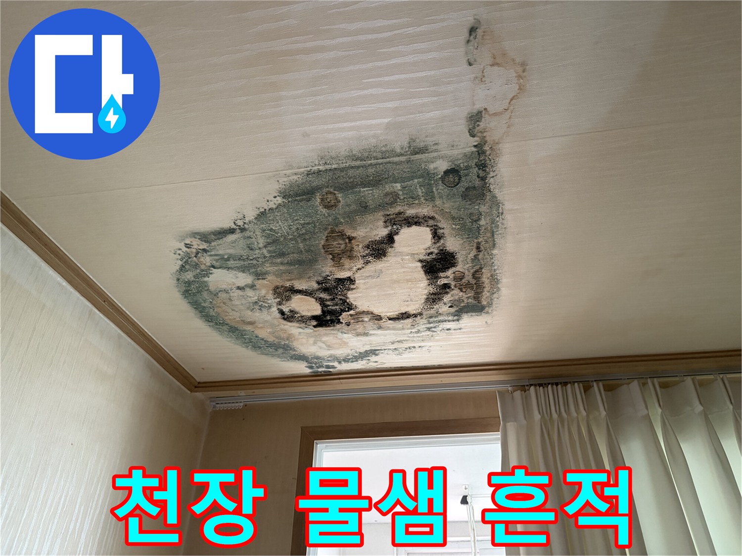 부천 도당동 아파트-천장에 발생한 넓은 물자국과 곰팡이 상태