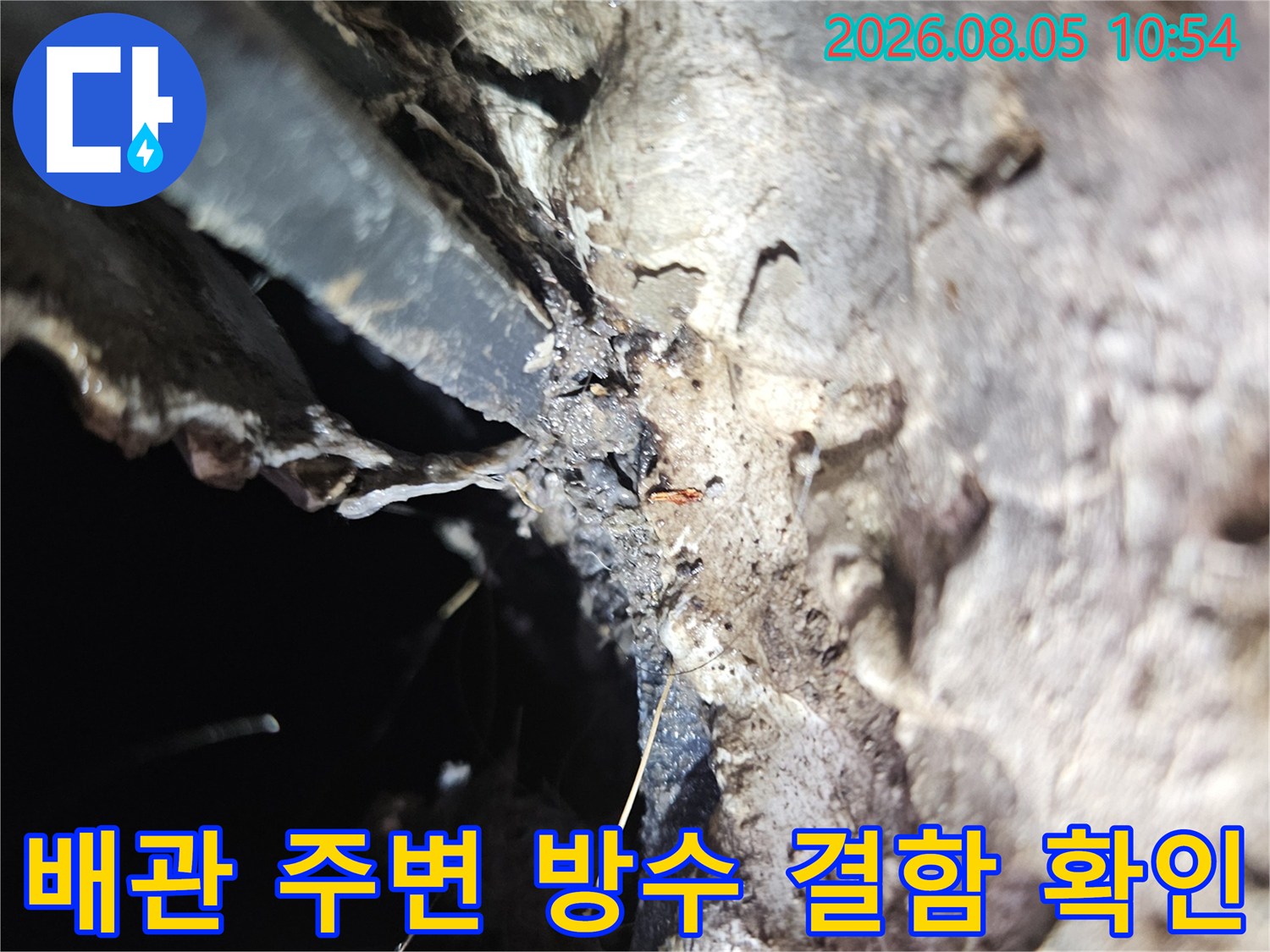 세탁실 배수 시설 부근의 마감재 손상과 누수 경로를 파악하는 모습