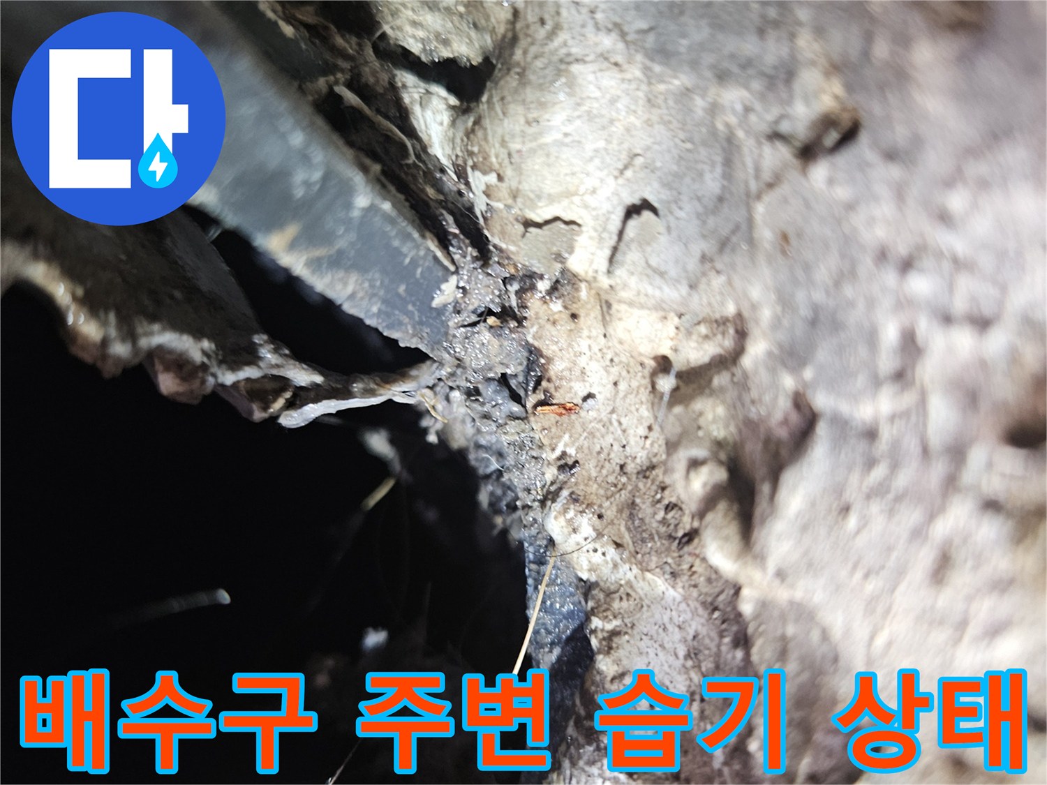 세탁실-배수구-유가-주변의-습윤한-상태-및-누수-흔적
