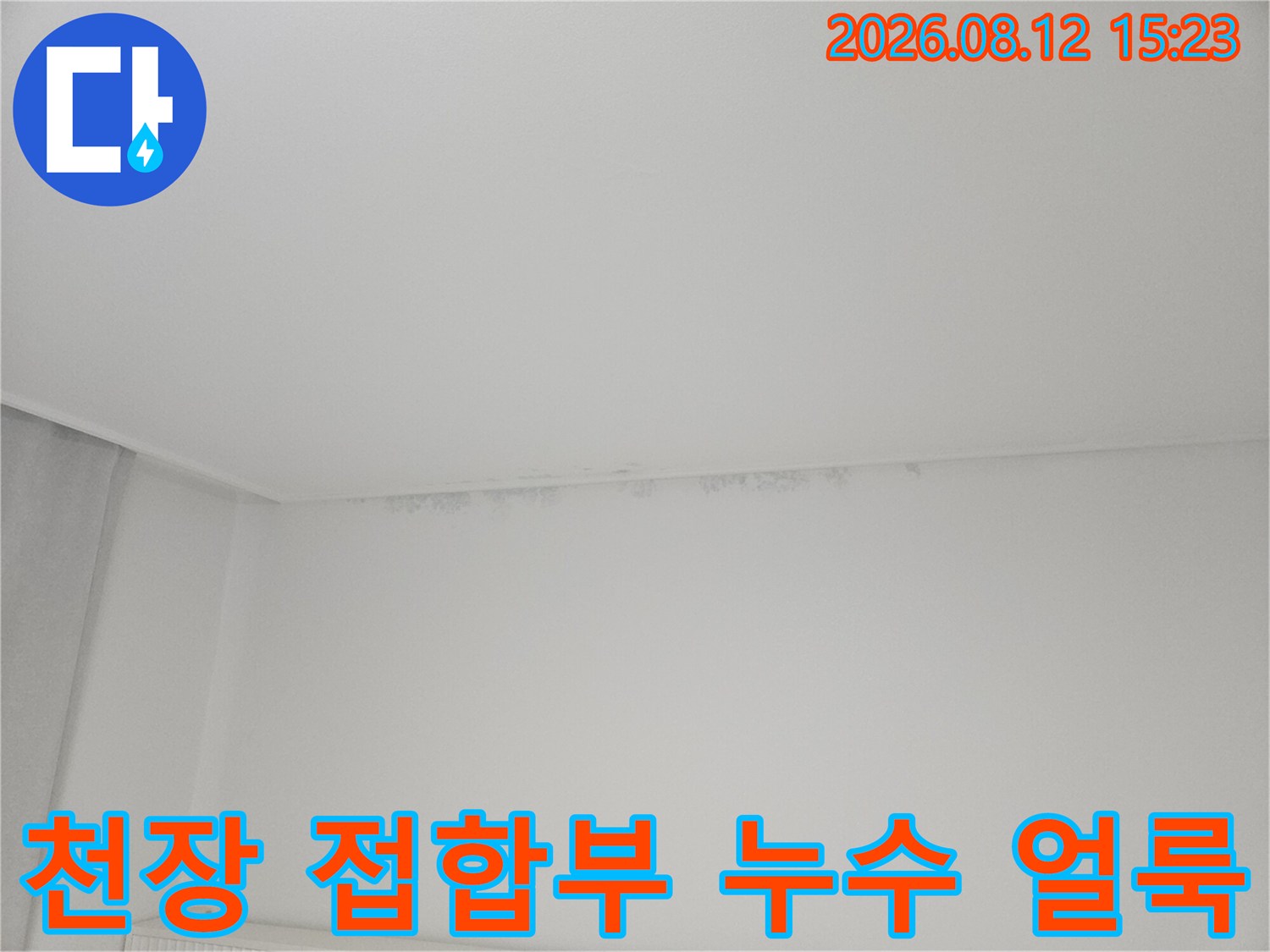 실내 천장 모서리 쪽에 발생한 어두운 색상의 습기 및 곰팡이 자국-사진