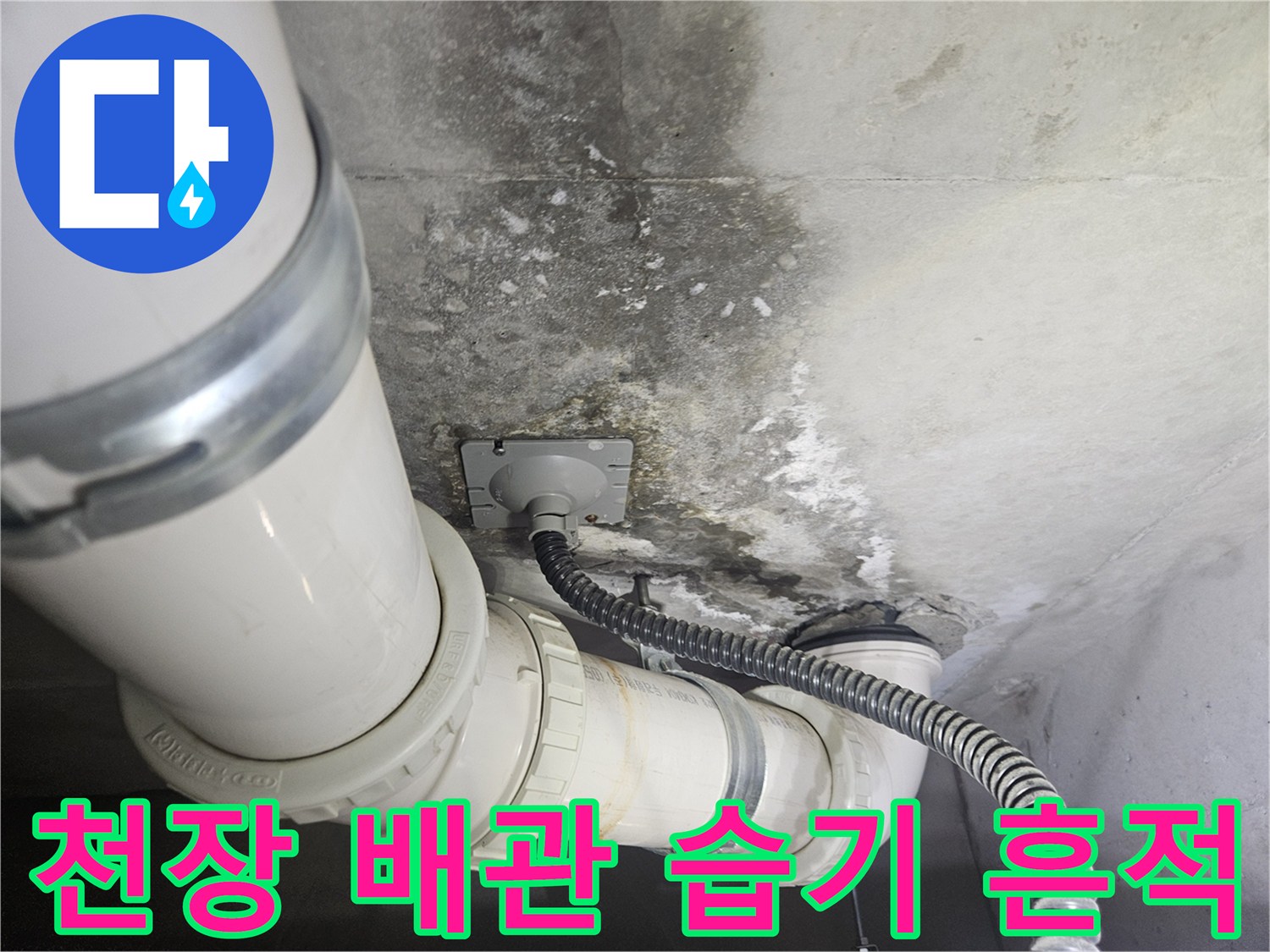 배관 주변의 젖은 콘크리트와 오염된 모습