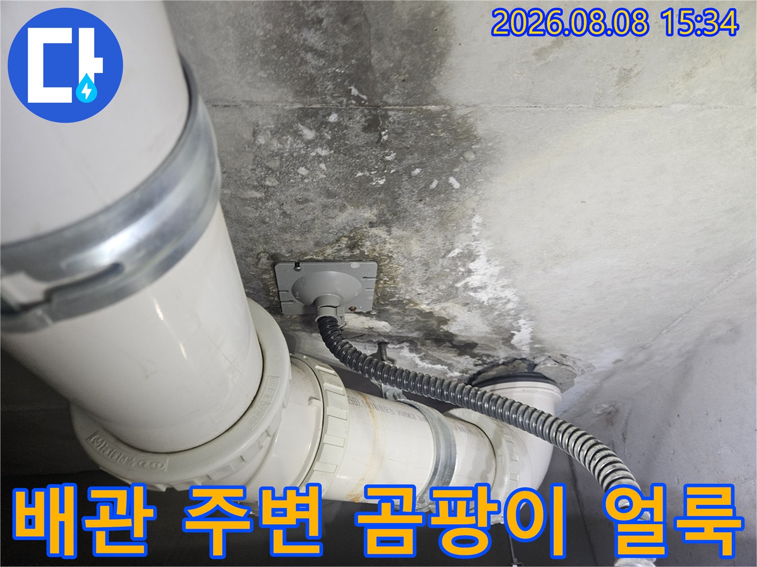 화장실 천장 배관을 따라 발생한 습기와 곰팡이 오염 현상