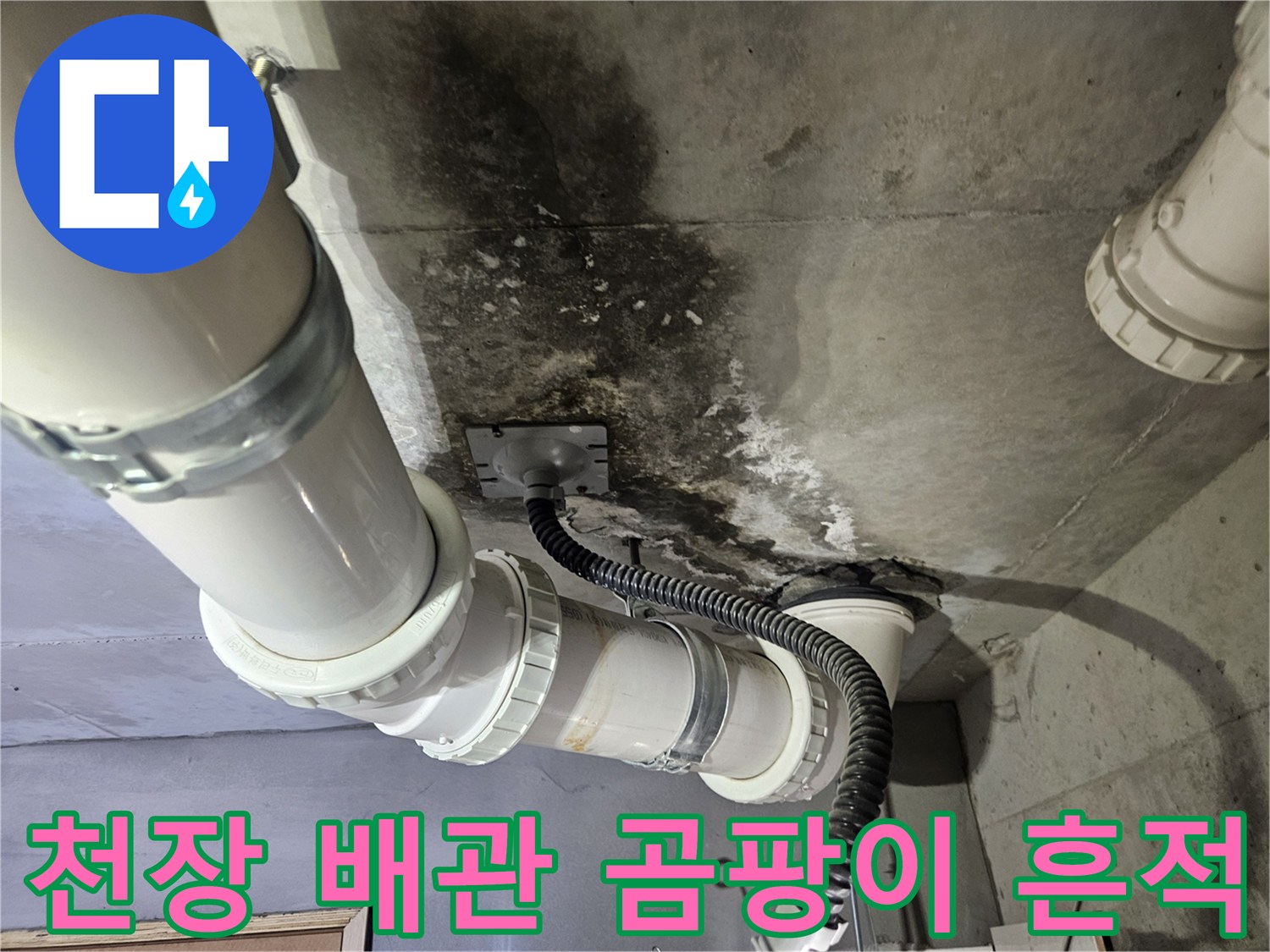 화장실-천장-슬라브-배관-주변-곰팡이-및-오염-상태