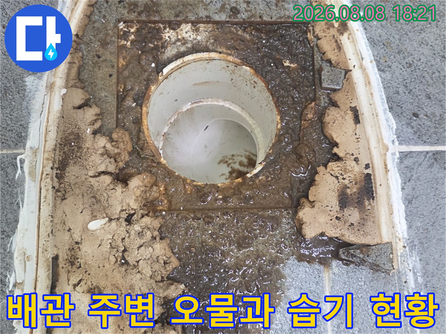 하수 배관 입구 주변에 고여 있는 오물과 젖은 타일 상태입니다.