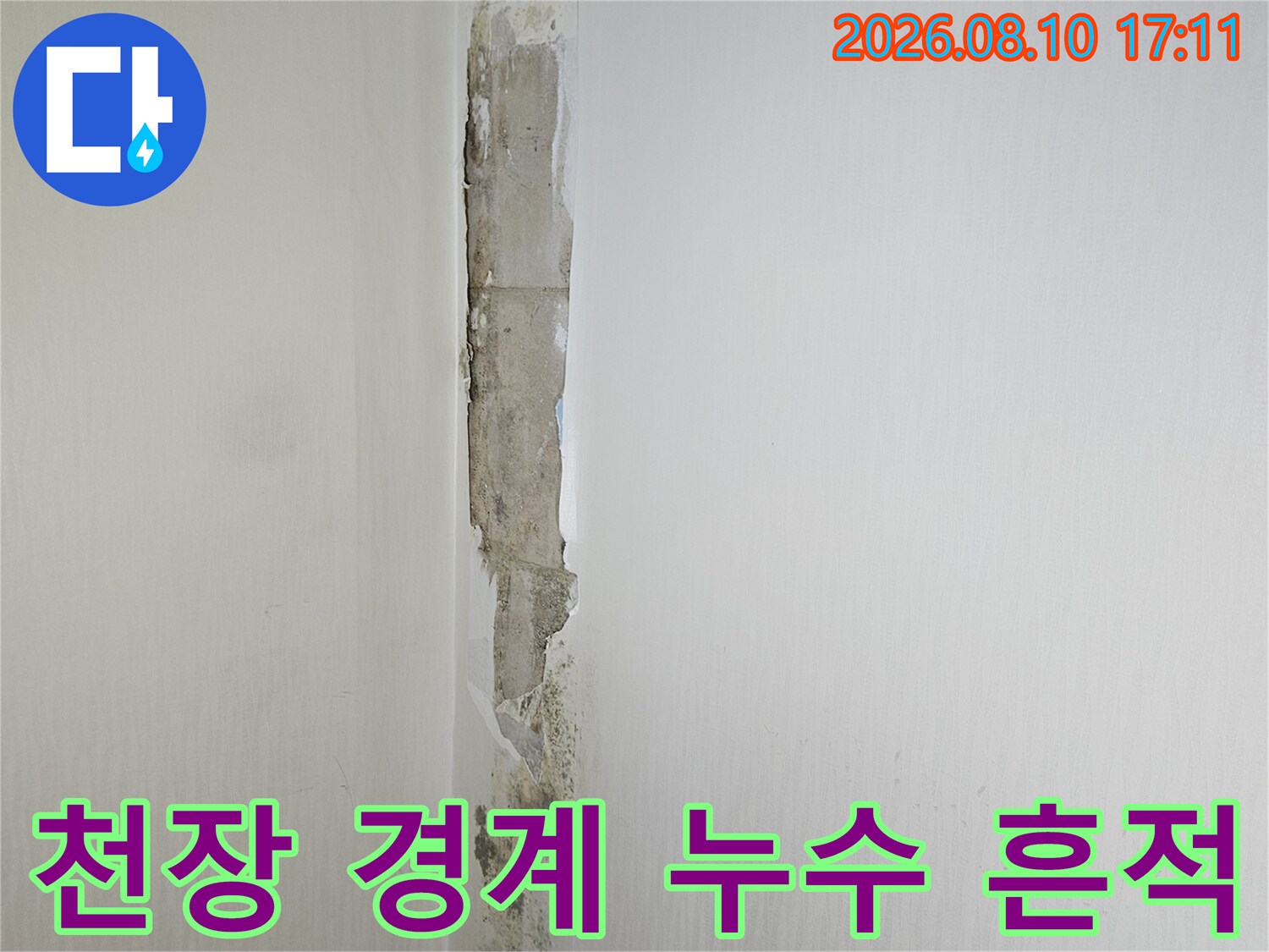 물이 스며들어 벽지가 젖고 갈라진 화장실 천장 가장자리 부위