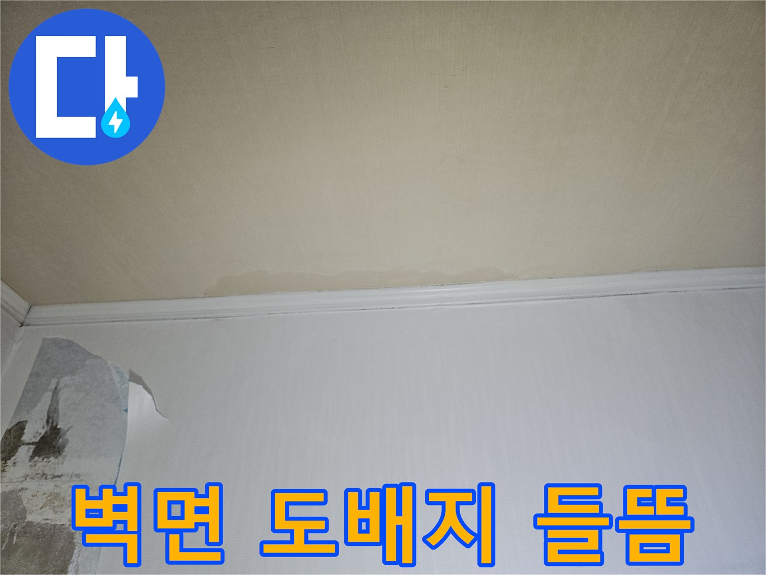 일산 백석동 아파트의 물샘으로 인해 도배지가 들떠 있는 모습
