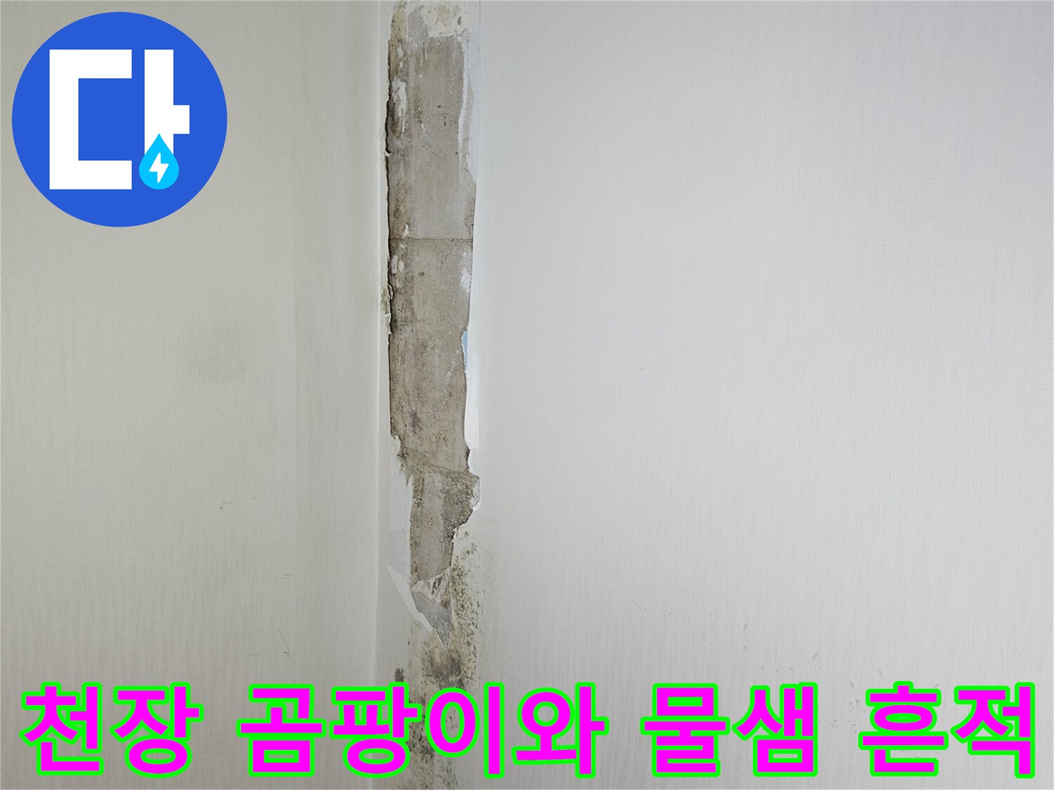 일산동구 아파트 천장 벽면의 곰팡이와 도배지가 벗겨진 상태