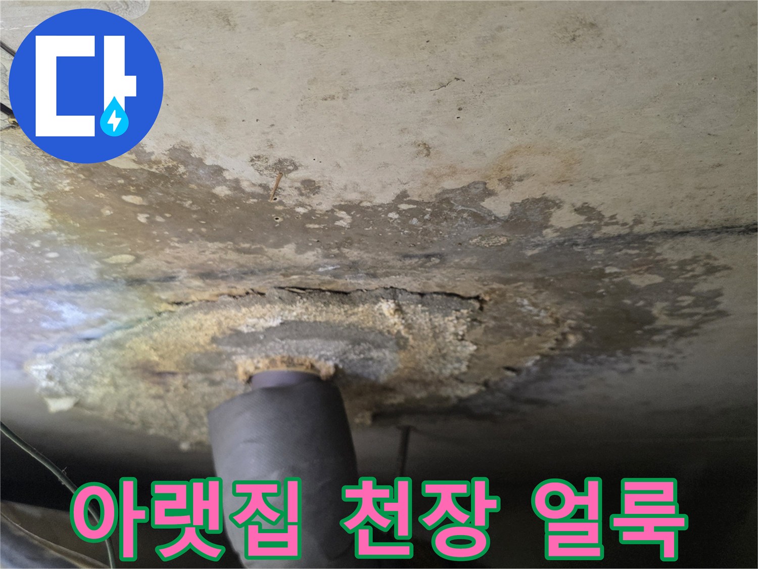 구리 인창동 아파트-아랫집 화장실 천장 부위의 누수 흔적과 젖은 상태를 보여주는 사진입니다.