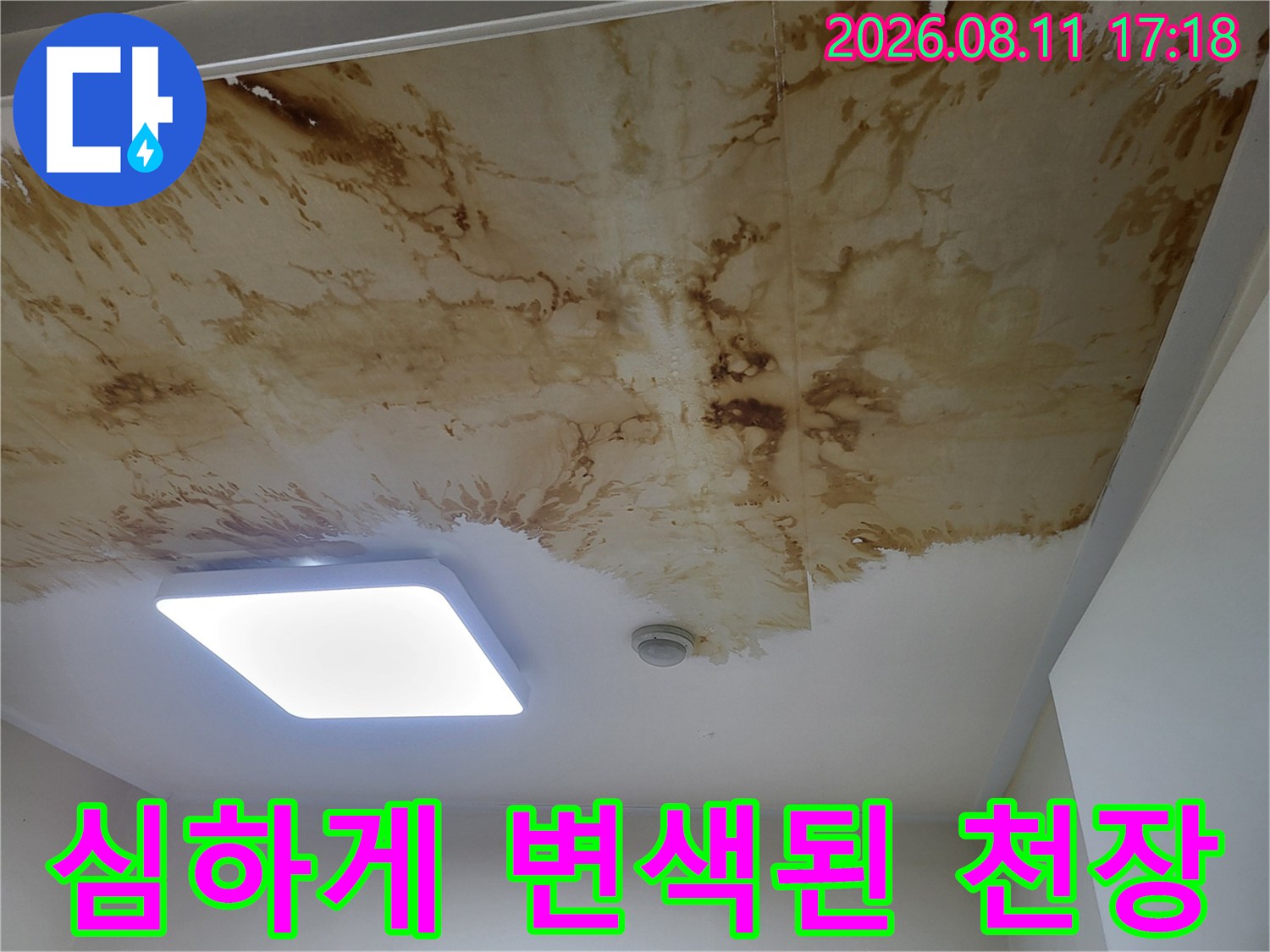 성북구 상월곡동-천장 전체에 퍼진 누수 흔적과 얼룩