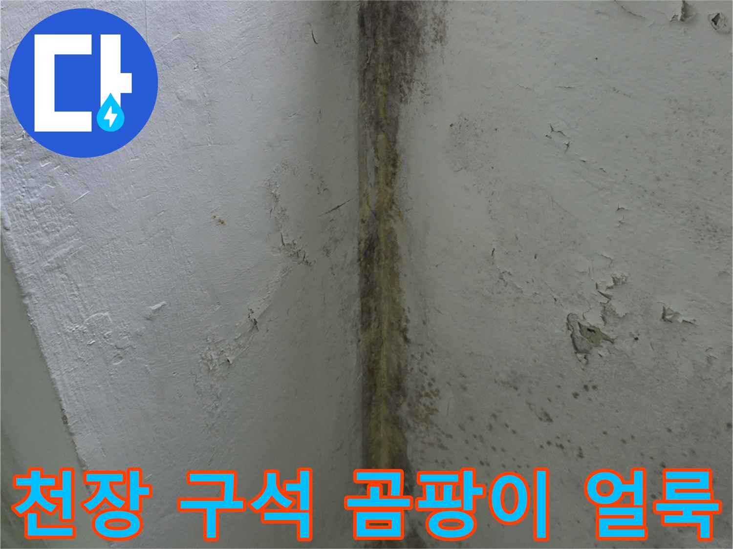 베란다-천장과-벽면-경계부위에-검은색-곰팡이가-피어있는-모습