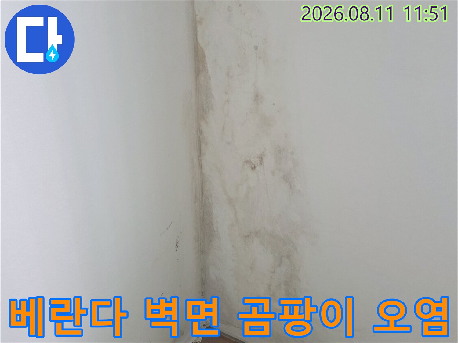 분당 정자동 아파트 베란다의 곰팡이와 도장 박리 현상 사진