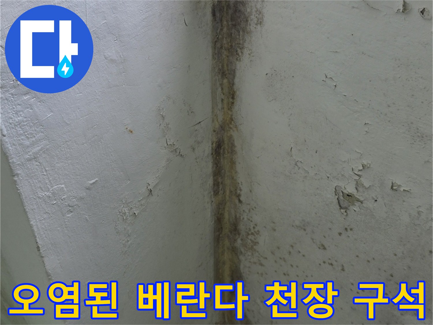 습기로-인해-천장과-벽면이-검게-변색되고-곰팡이가-핀-상태
