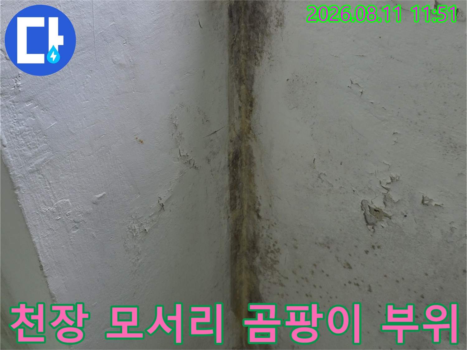 아파트 베란다 천장 구석의 곰팡이와 습기로 인해 부풀어 오른 페인트 면